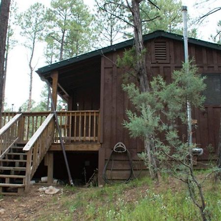 Beary Comfy Cabin Ruidoso Εξωτερικό φωτογραφία
